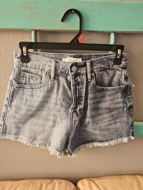 PacSun Faded Light Blue Denim Cutoff Shorts